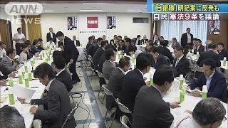 「自衛隊」明記案に反発も　自民党　憲法9条を議論(17/06/21)