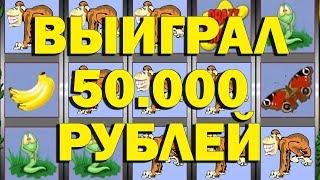 ВЫИГРАЛ В СЛОТ ОБЕЗЬЯНКИ 50.000 РУБ. НА ОНЛАЙН КАЗИНО ВУЛКАН СТАРС!