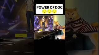 Power of dog  #foryou #foryourpage #freefire #freefirehighlights #freefireshorts #shotsfeed