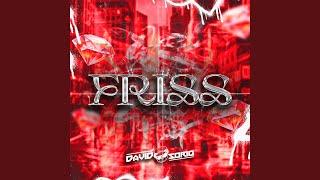 FRISS