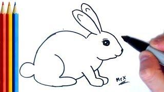 How to Draw Rabbit (easy) - Step by Step Tutorial