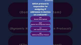 IP Assignment Wizard ‍️ | #TechWiseNow #shortvideo #education