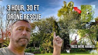 Drone Crash 2 - Drone Stuck Up a Tree?  Here's How You Get It Back...