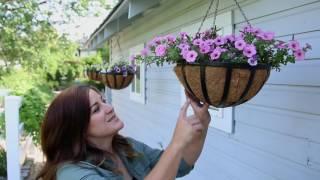 Flower Pillows--Oh How They've Grown!