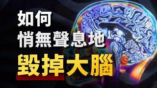 你的思維，為什麼總是「卡機」？硬核腦科學，揭開年輕人大腦混亂的四大元兇