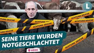 Rinderherpes: Landwirt vor dem Ruin? | WDR Lokalzeit Land.Schafft.