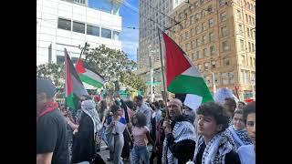 The Palestine/Israel Conflict – The Media Coverage and the Backlash Across US