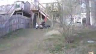 Idiots on wheels