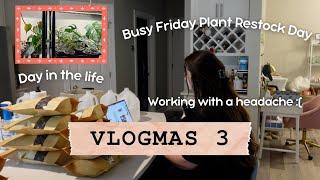 Vlogmas Day 3 | Realistic Day in the Life |  Friday Plant Restock 