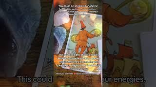 #222 A BEAUTIFUL NEW BEGINNING IN LOVE #tarot