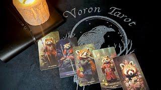 Новинка таро️ Таро красной панды  red panda tarot #таро #tarot #таролог #магиятаро #эзотерика