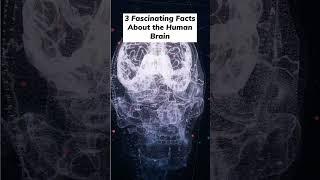  Top 3 Fascinating Facts About the Brain You Didn’t Know!  #science #facts #brain