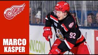 NHL Prospects : Marco Kasper - 23-24 Highlights