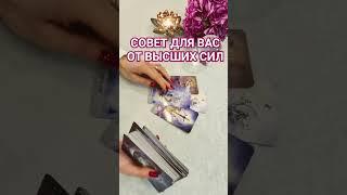 СОВЕТ ДЛЯ ВАС ОТ ВЫСШИХ СИЛ #тарорасклад #tarotstars #тароонлайн #таропрогноз #тародлятебя #таро