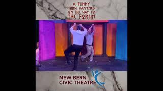 The Swinging Gemini! - A Funny Thing Happened on the Way to the Forum  #communitytheatre