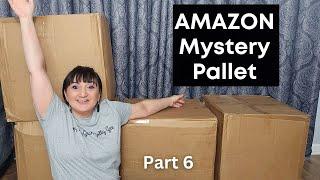 Huge AMAZON Pallet Unboxing | Part 6 | So Much Stuff!