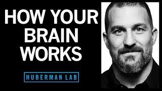 How Your Brain Works & Changes