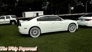 North Ms Whipz "It's Ah White World" The Whip Paparazzi