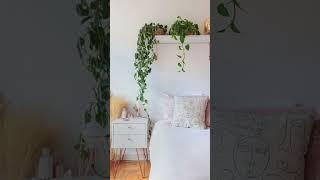 El arte de traer la naturaleza a tu hogar: Decoración con plantas para todos los gustos