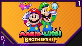 Twitch Archive │ Mario & Luigi Brothership Part 1