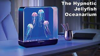 The Hypnotic Jellyfish Oceanarium