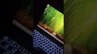 #CM Punjab laptop ️#Maryam Nawaz # Keyboard lights #Illusion