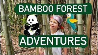 Amazing Bamboo Forest Adventure | Adventure In The Forest With Kids | Leo's Playplace