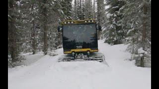 Most Fun You Can Have with the Snow Rabbit