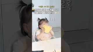 16개월 아기, 국수 한 그릇 순삭!국물까지 클리어 완료!  #아기먹방 #16개월아기 #육아일상