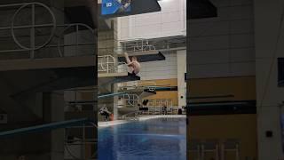 Andrew Capobianco's Flawless 405B Dive | Big Ten Prelims 2022 Highlights! #shorts #diving