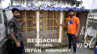 Pigeon Lover Shahnawaz & Irfan Pigeon Loft Visit at Belgachia  ( Near RG Kar Hospital ) - 7278167341