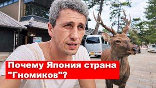 Почему Япония страна "Гномиков" и что не так с оленями?