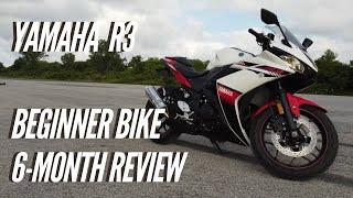 Is the Yamaha R3 a Good First Motorcycle? - Beginner Bike Review  - Yamaha R3 Review