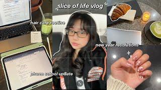 SLICE OF LIFE  updated haircare routine, new year resolutions, grad school update & living alone