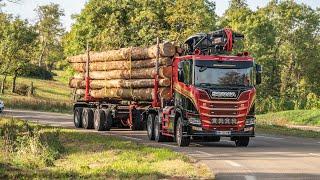 SCANIA R770 V8 NEXTGEN  GRUMIER FRIEDERICH (TRANSPORTS FRANCK RECORBET)