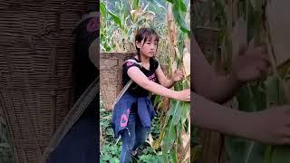 这就是农村姑娘的生活，如果你刷到了我，就花点时间翻翻我的作品吧，希望可以治愈你的心情！#农村#农村生活#三农