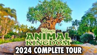 Disney's Animal Kingdom 2024 - Walkthrough & Rides at Walt Disney World [4K]