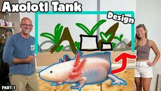 Giving an Endangered Mexican Axolotl an Oasis @AquariumInfo Part 1