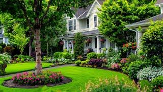 Spacious Front Yard Landscaping: Elevate Your Front Yard with a Lush Lawn!