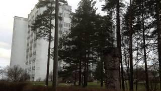 Сестрорецкий курорт зимой!
