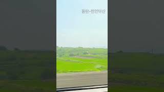 #힐링 #기차 #srt #스위스 같은 #풍경