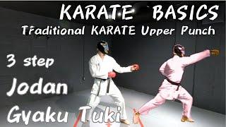 Striking a powerful upper karate punch / Lower body strength is important,  not arm strength