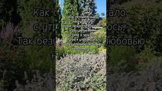 Безусловной любовью наполняюсь. #позитивноемышление #любовь #исцеление #вселенная #нумерология