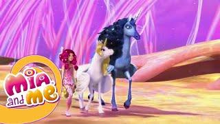 Mia and me - Season 2 Episode 22 - The Rainbow Spring