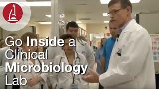 Go Inside a Clinical Microbiology Lab