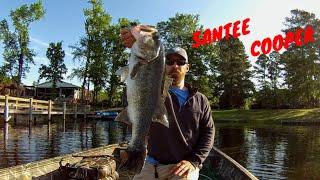 Bass Fishing Santee Cooper | 4-24-22 | #bassfishing #fishing #fyp