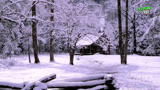 Enchanting Cabin in a Snow Covered Forest The Sounds and Scenery of Winter