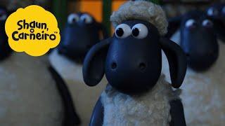 Shaun, o Carneiro [Shaun the Sheep] a noite bate diferente  Hora Especial| Cartoons Para Crianças