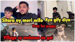 Sitara ny wife ko kya gift diya | village sy mehman aa gai | pray for puppy .. babar Akbar vlog