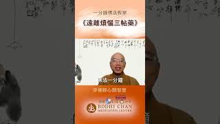 遠離煩惱三貼藥包括佛法禪法與禪公案的智慧 #佛法一分鐘 #學佛靜心開智慧